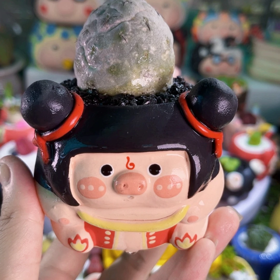 030手工盆习之野连盆带土包邮