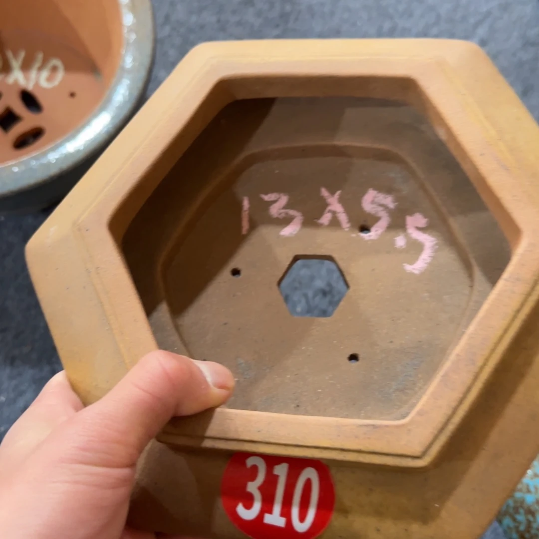 紫砂花盆我呜呜呜呜呜呜