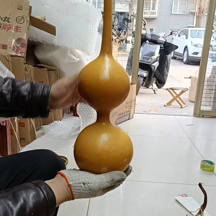 水*三庭葫芦！！！！！！！！！！！！？
