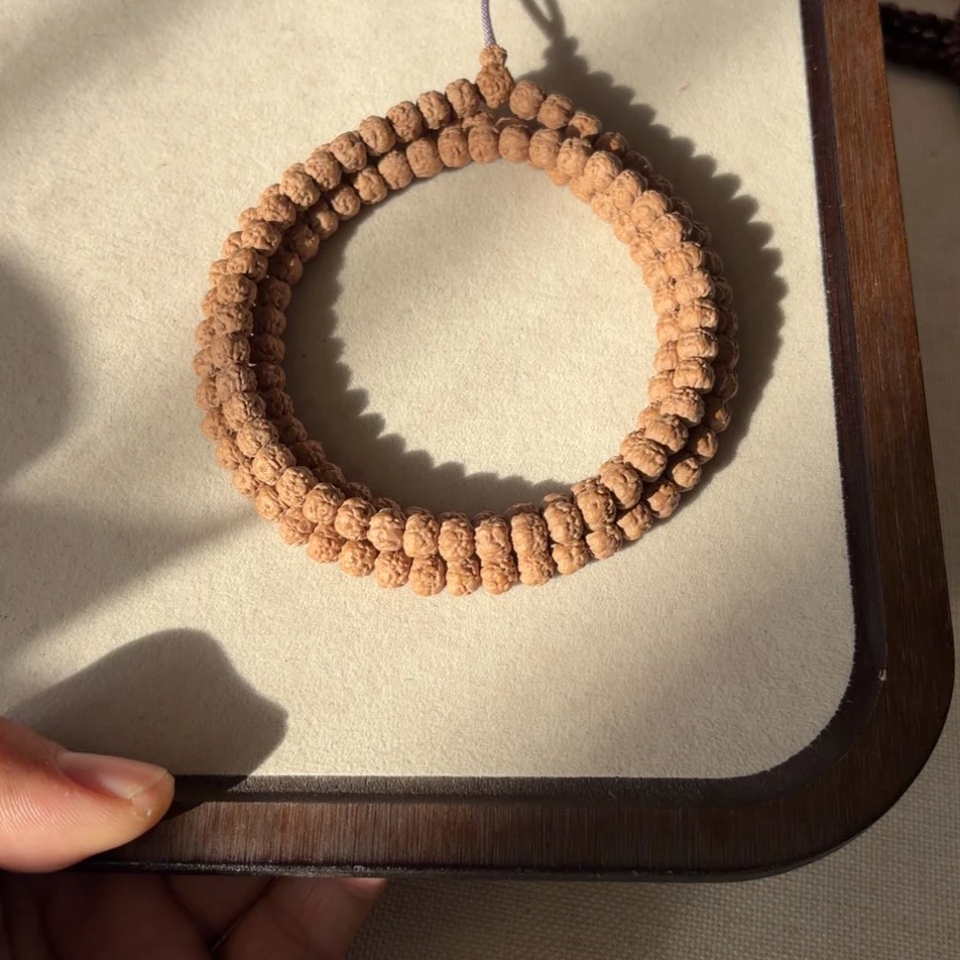 7.5五爪金龙原装佛手