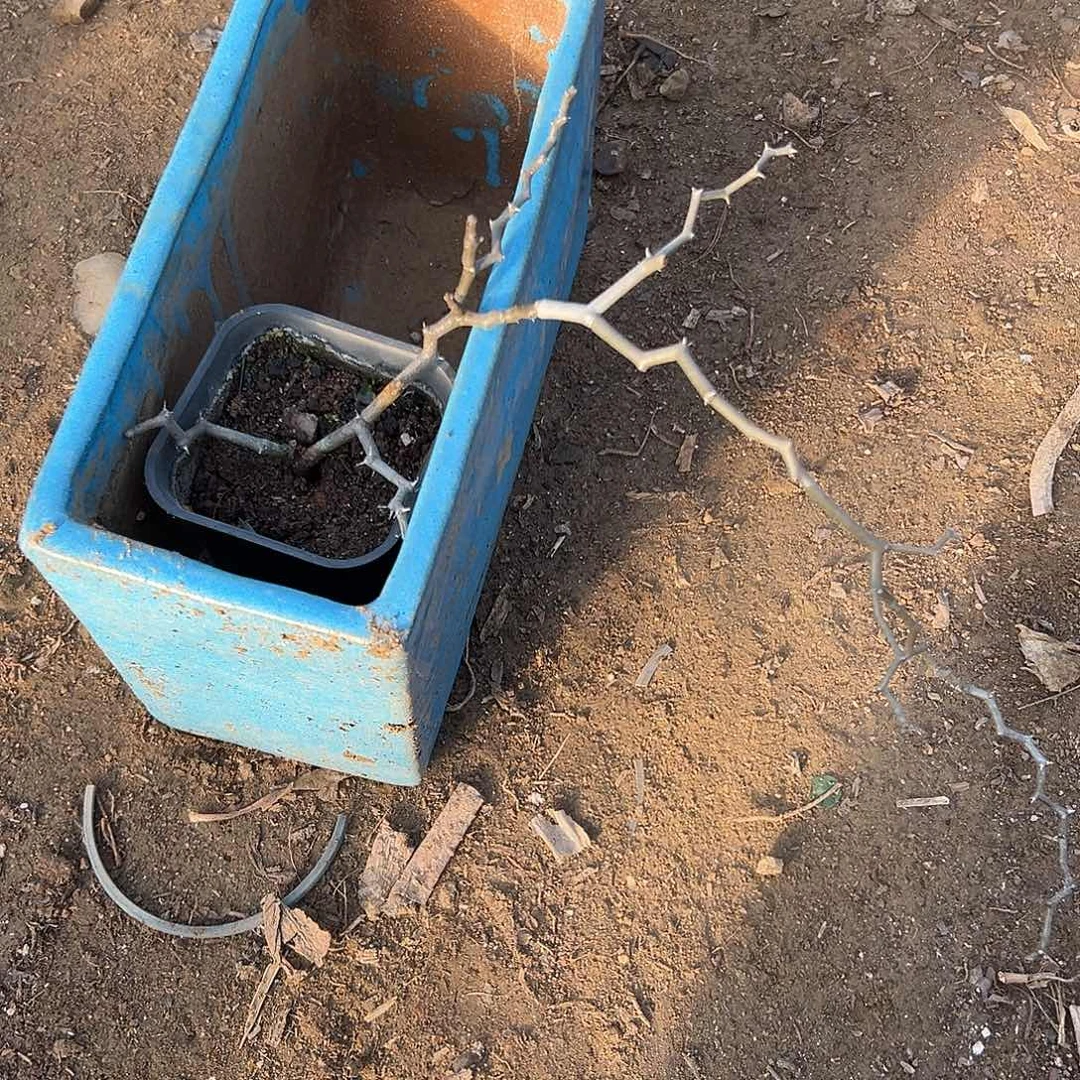 女呃呃呃呃呃呃呃呃