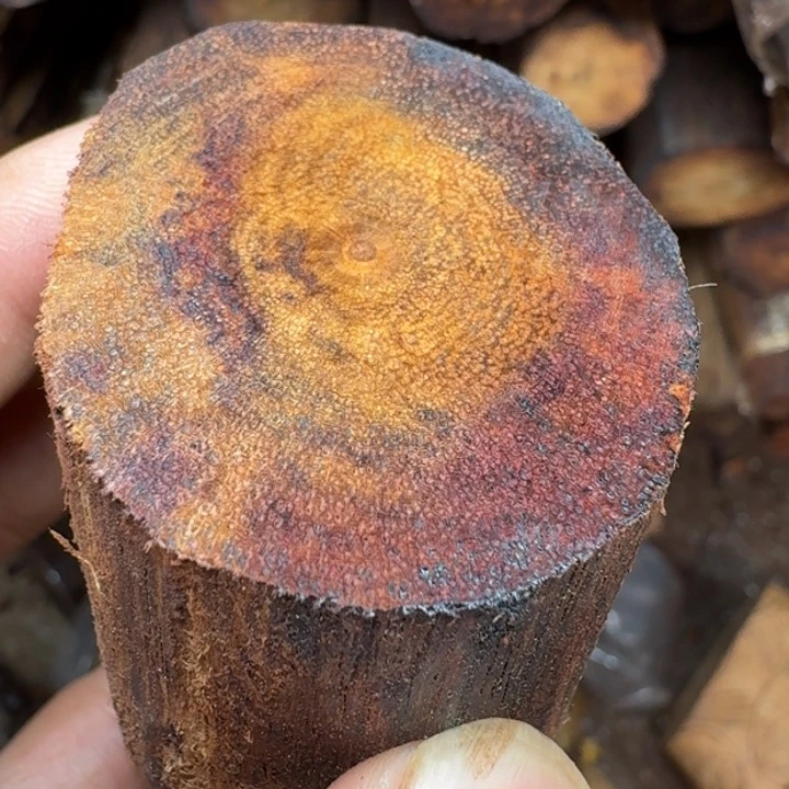 香榧木缅甸小叶降真香定制