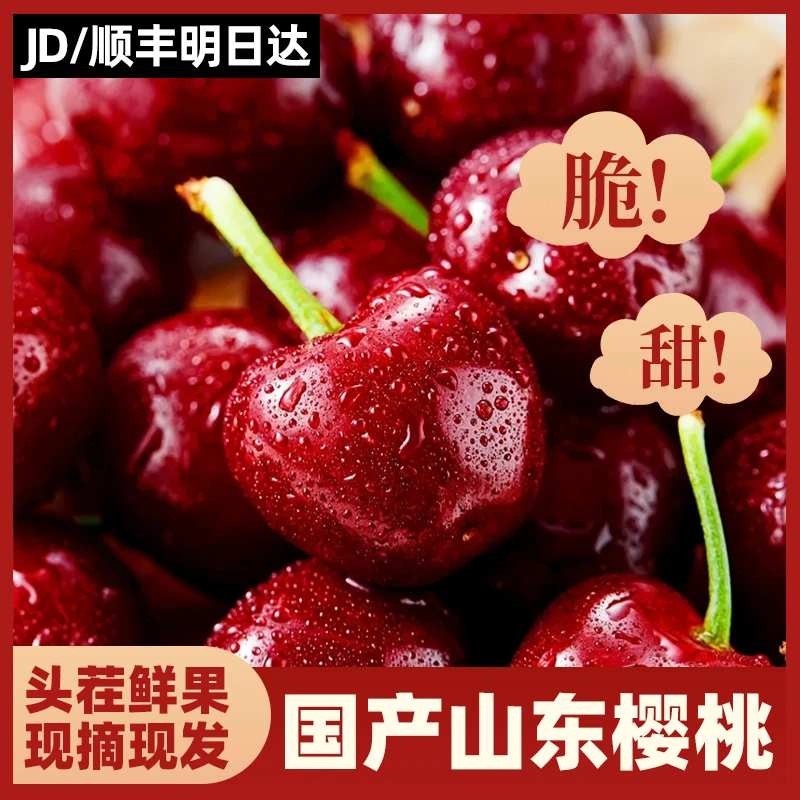【顺丰到家】山东国产樱桃头茬鲜果送礼水果 2J-5J 2斤/4斤装水果同城送水果同城送美早山东省