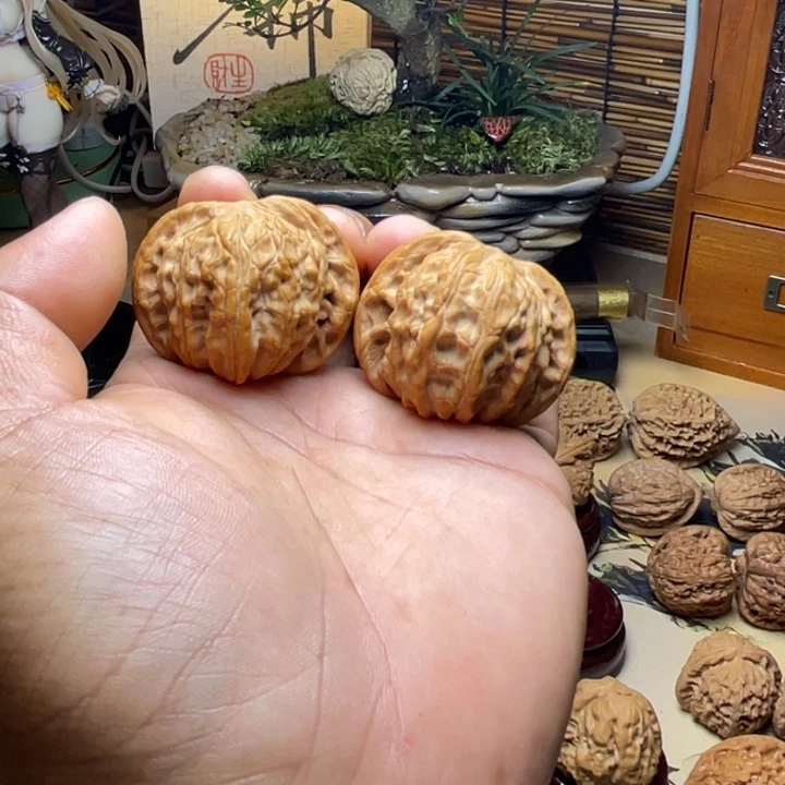 世****！42全品蝴蝶磨盘未打底