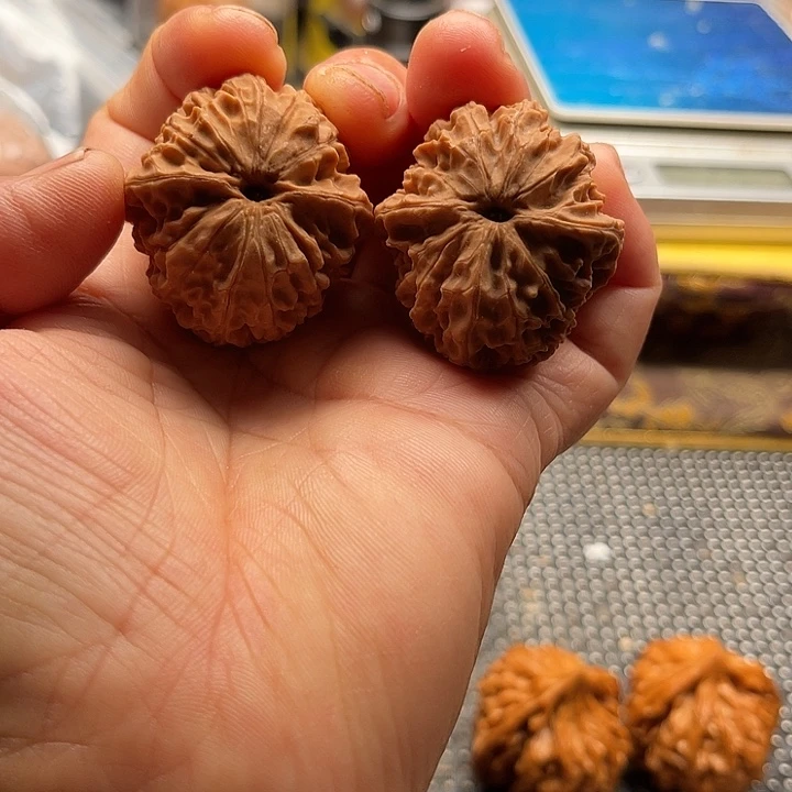 把件桃核全品小龙眼边35肚35高32