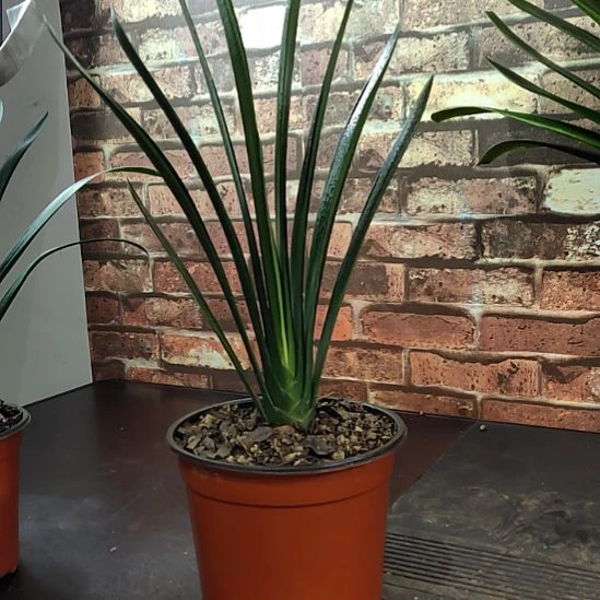 完全开放1111111111