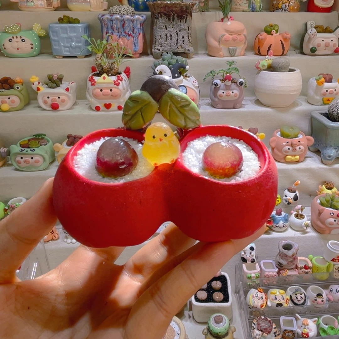 027高端多肉带盆土一套68