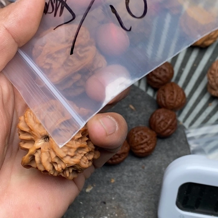 文玩核桃把件擎***兔苹果