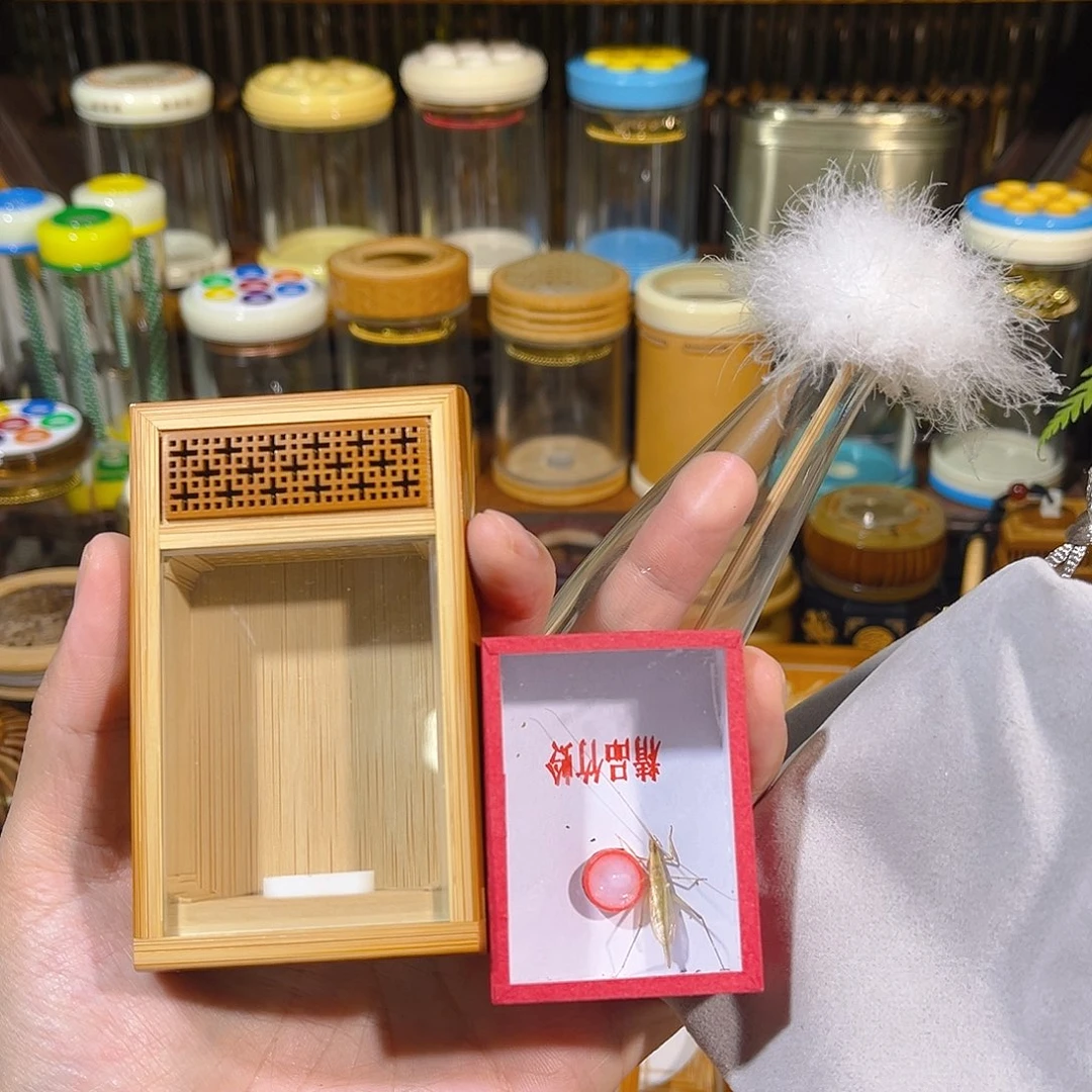 蟋蟀老竹竹蛉盒+竹蛉+过虫器+布套