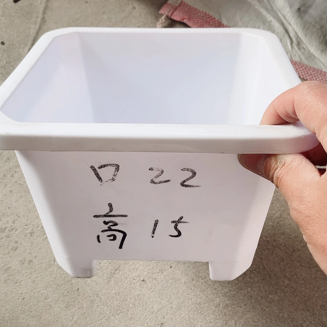 塑料升级款景天22方白色盆10个无托