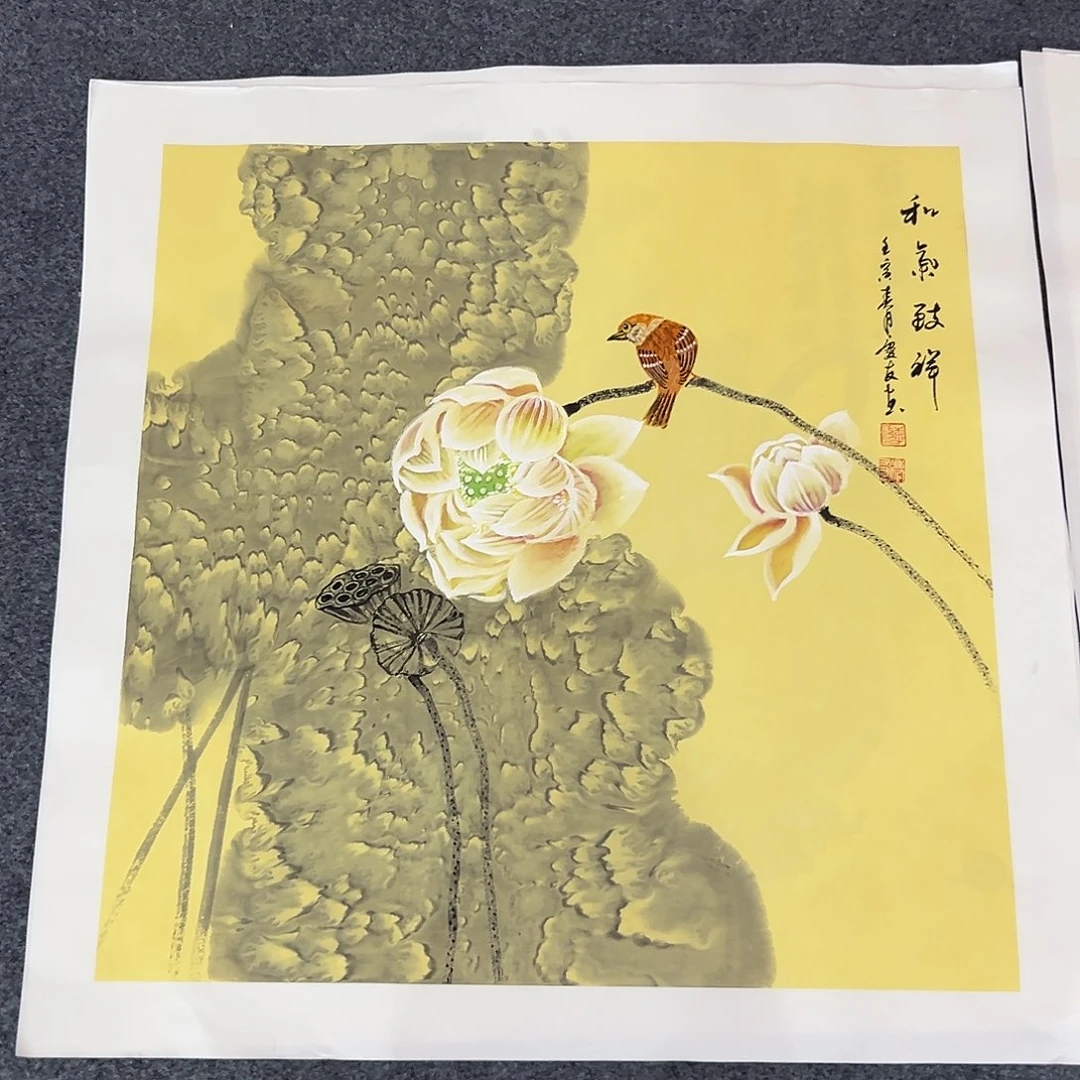 新号开播领福利了