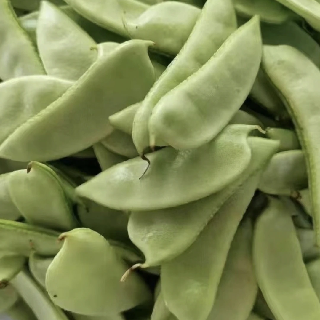 新鲜蛾眉豆扁豆农家自然原味现摘现卖