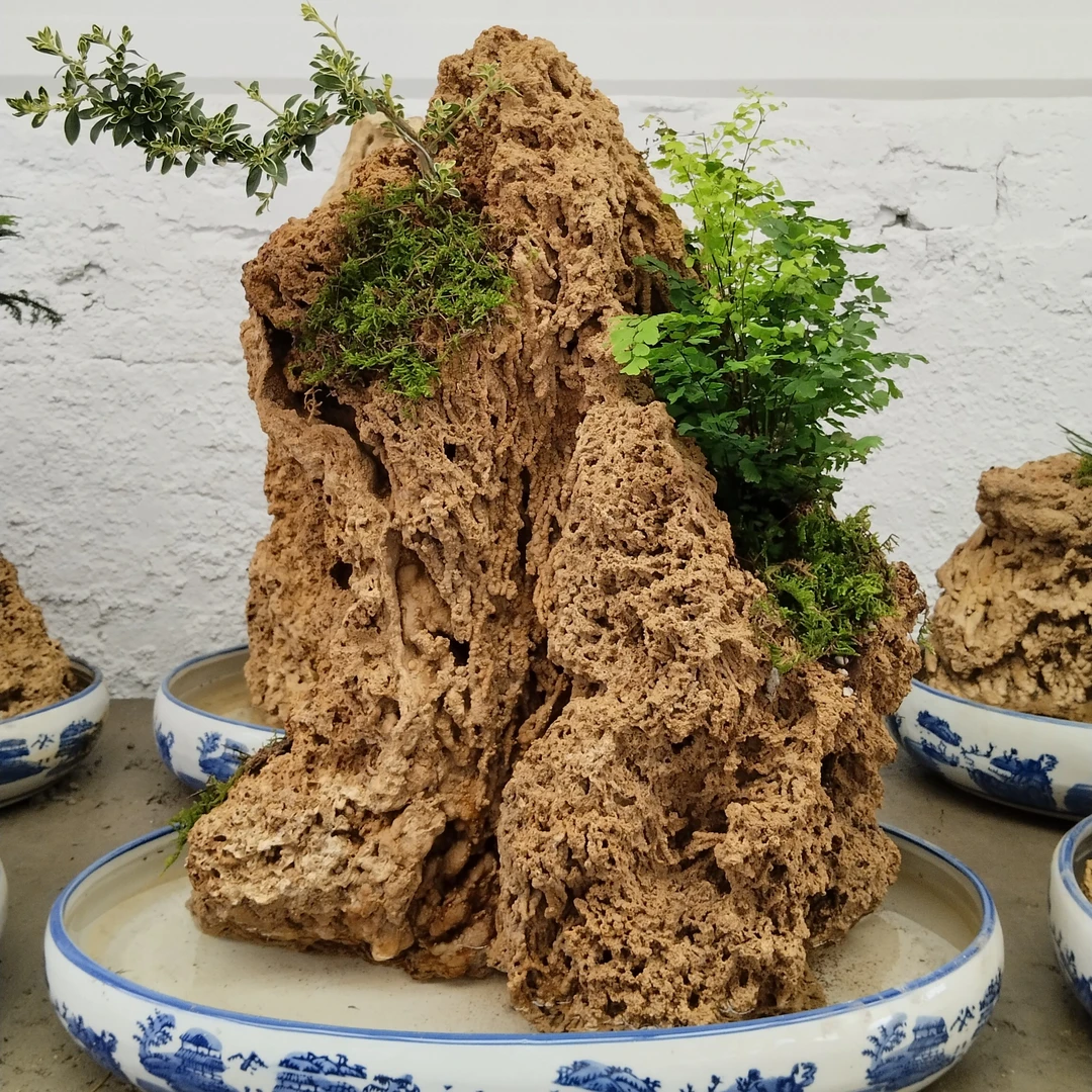 吸水石假山盆景（直播间一物一拍）