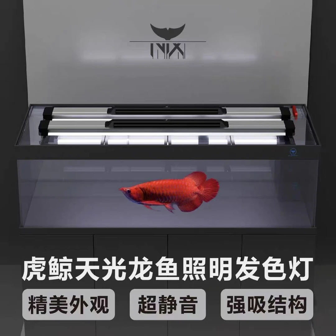 虎鲸鱼缸虎鲸天光灯虎鲸鱼缸灯龙鱼发色灯