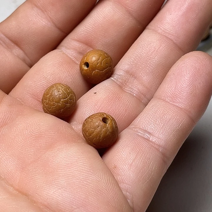 凤眼菩提手串恨*菩提