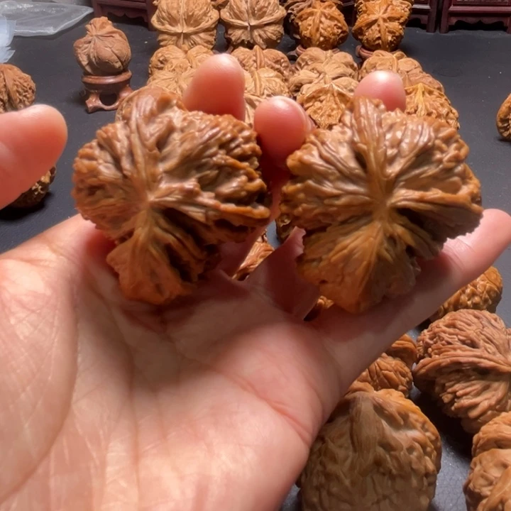 白狮子犀牛角43尺寸核桃哈哈哈哈哈哈