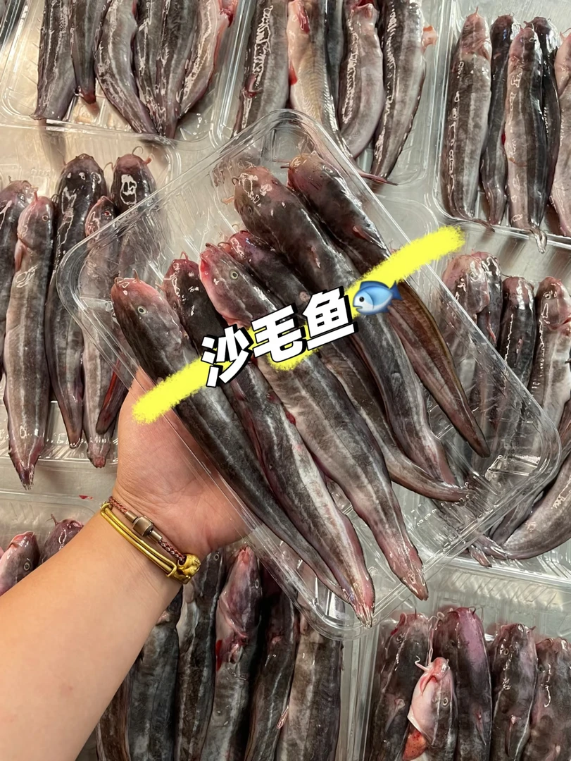 【沙毛鱼】广东汕尾本港海捕沙毛  顺丰冷链