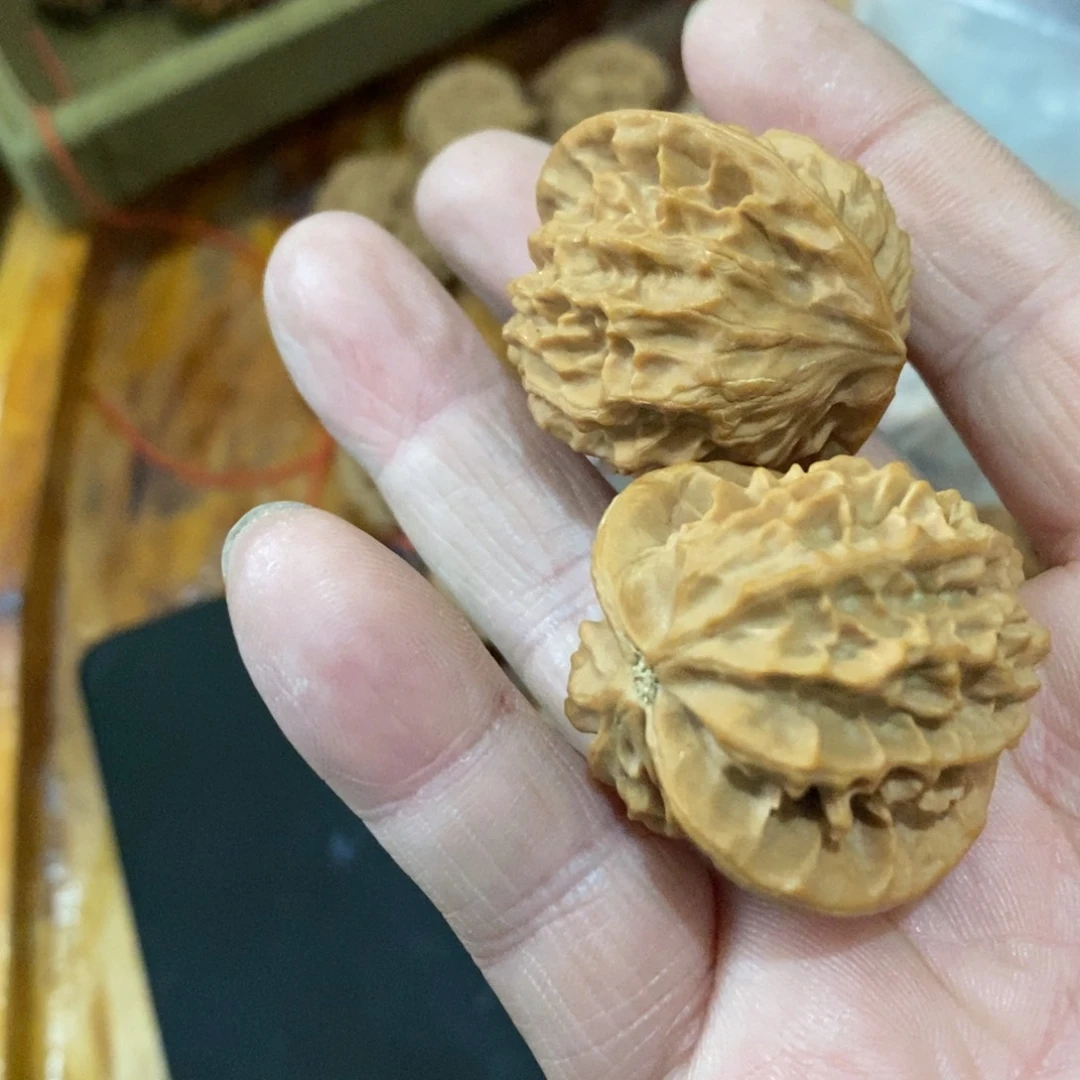 冷**人秦岭南侧和东北的山门