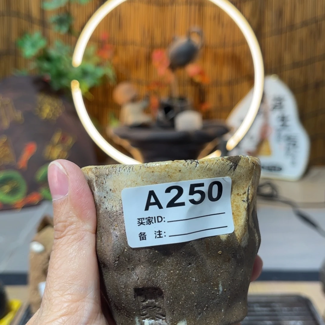 木村信弘柴烧保平