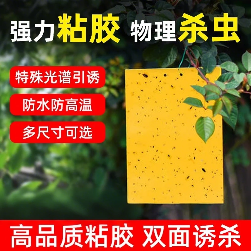 粘虫板黄板双面小飞虫灭杀神器大棚灭苍蝇贴纸果园果蝇蚊子诱捕器