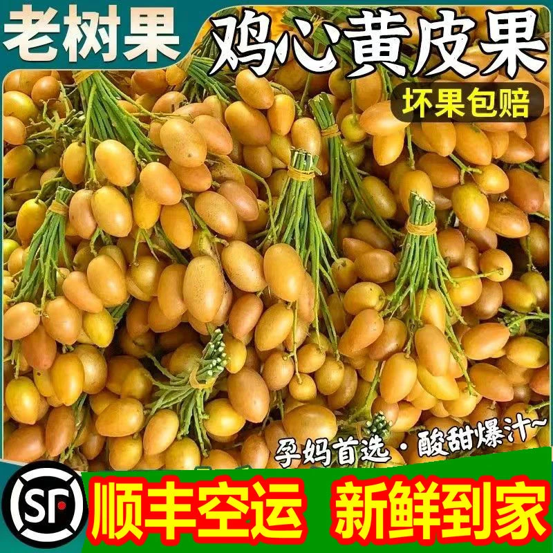 【顺丰空运】广东鸡心黄皮果当季新鲜孕妇水果包邮非无核冰糖黄皮