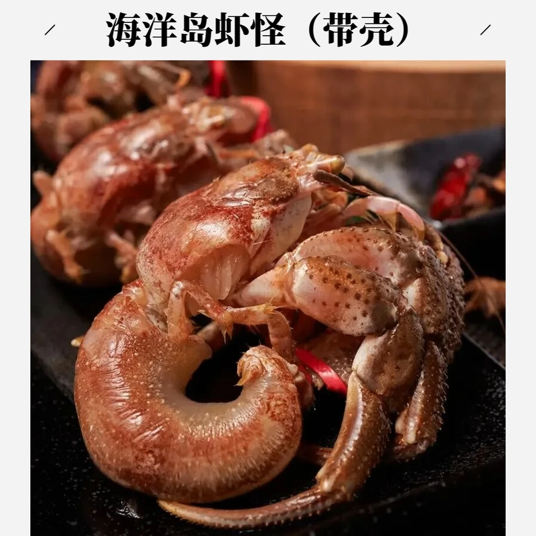 【大连海洋岛虾怪】3-4斤虾怪寄居蟹带壳部分有沙蚕 保鲜不保活顺丰