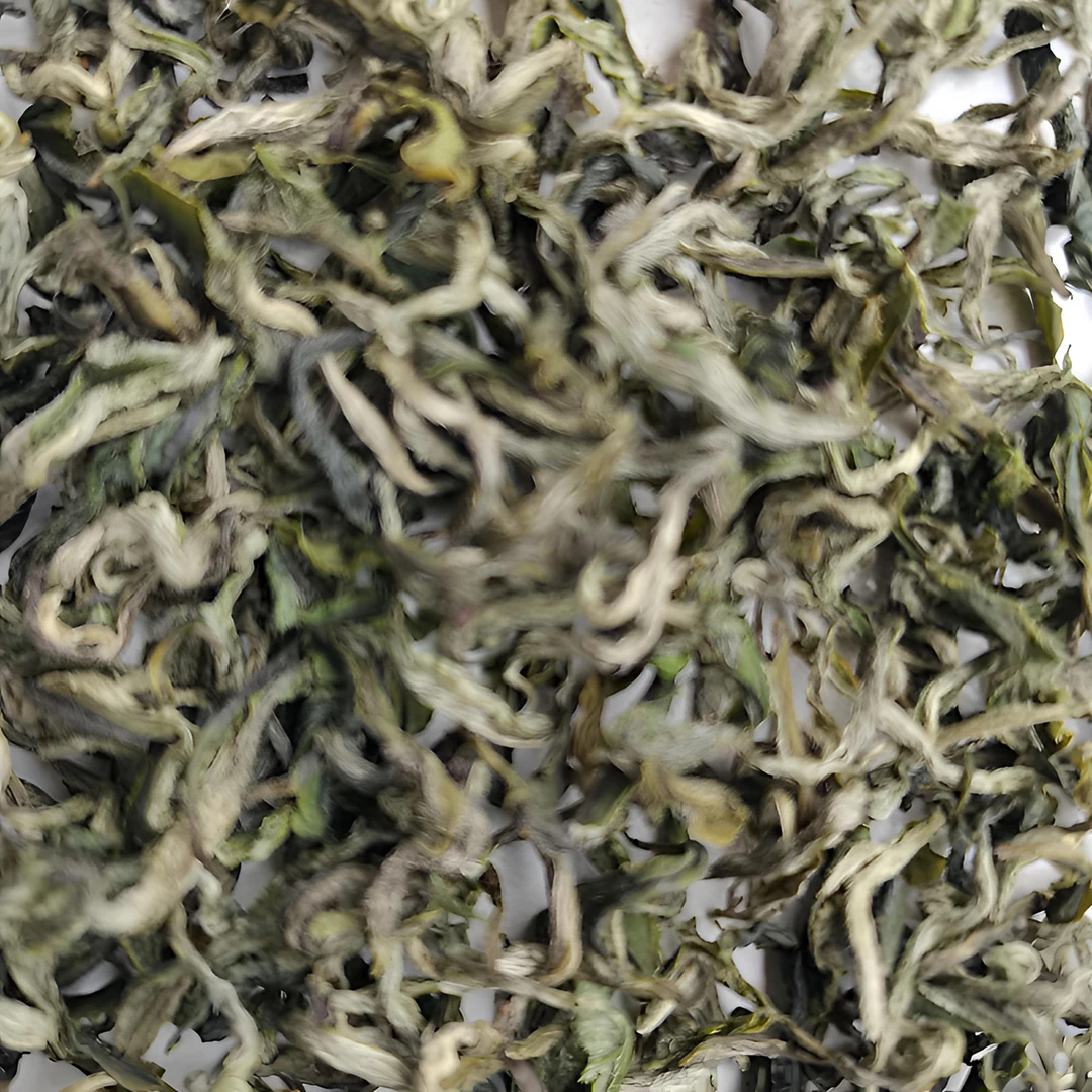 明日2025年新茶绿茶品牌雀舌新茶舒城都匀雀舌茶叶小兰花湄潭贵州