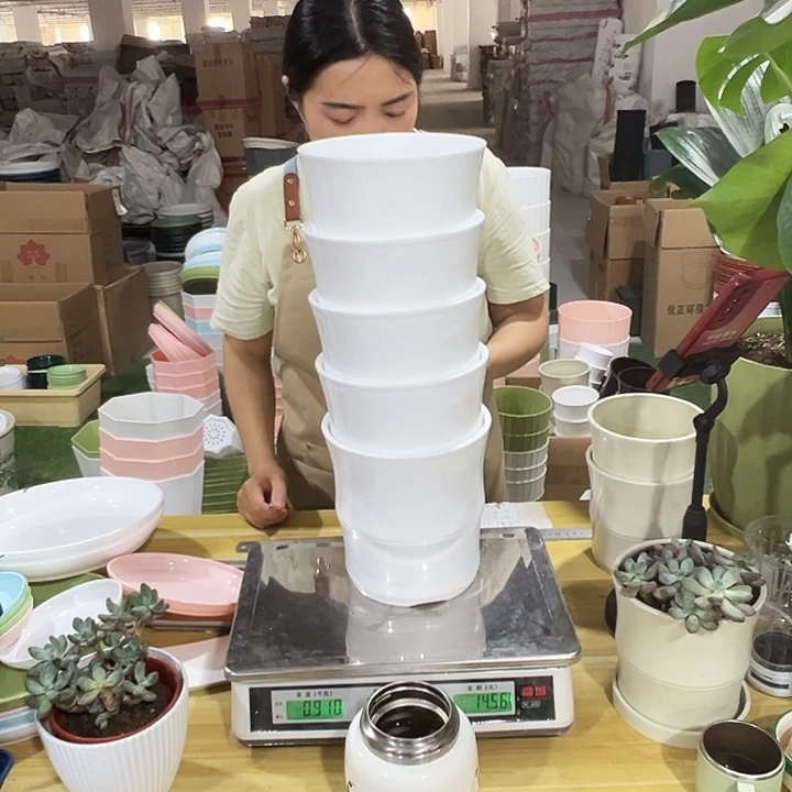 竹节口17高17白色无托5只