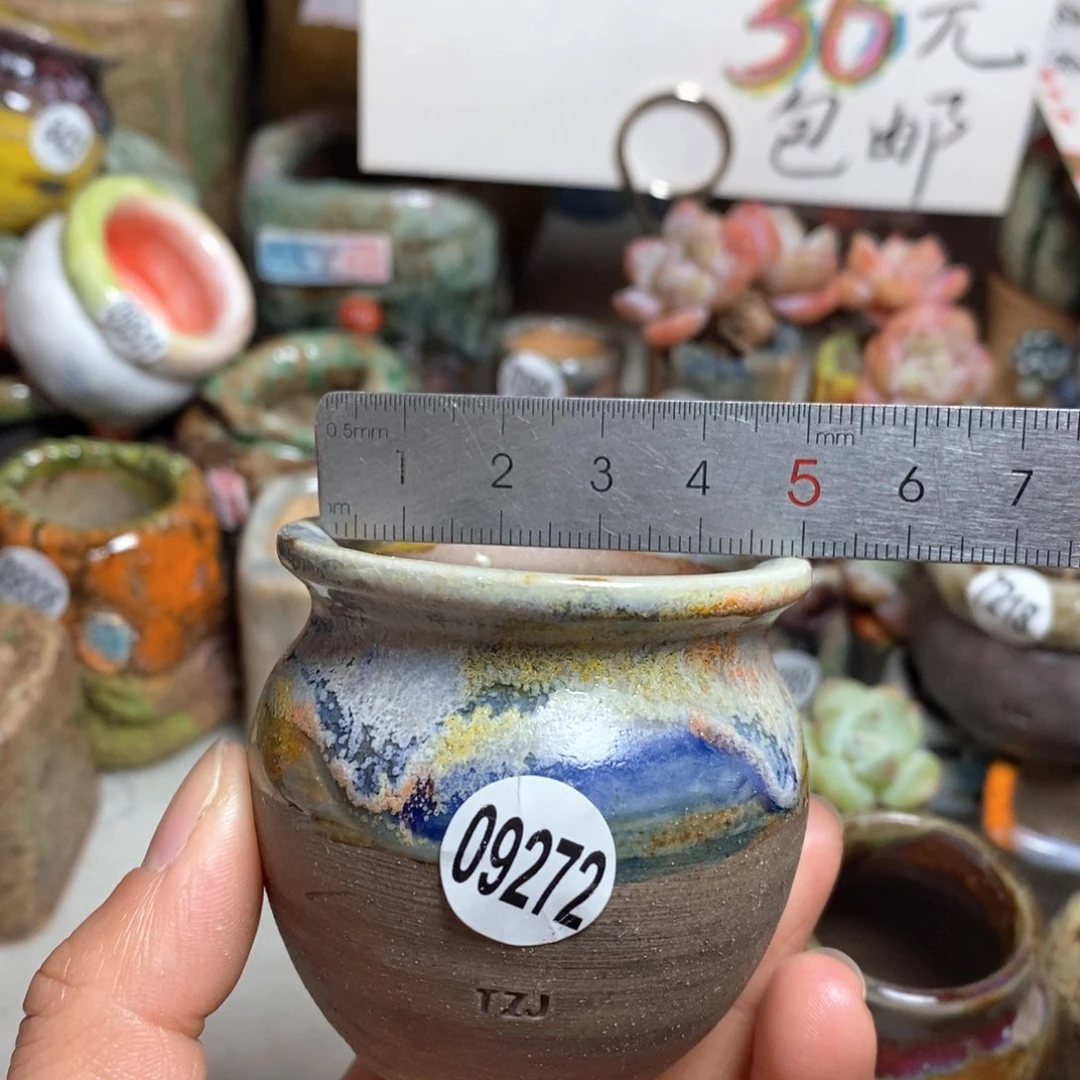 花盆拍5送一个小礼物