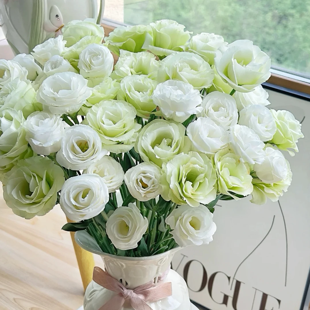 【洋桔梗无刺玫瑰】一单也包邮 室内水养鲜花 云南直发