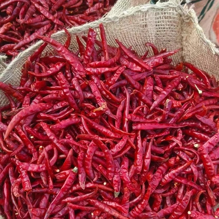 特辣魔鬼椒干辣椒超辣调料自然晒干农家红辣椒