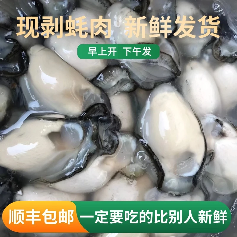 福建生蚝肉海蛎肉新鲜现开现发蚝烙紫菜海蛎煲顺丰包邮