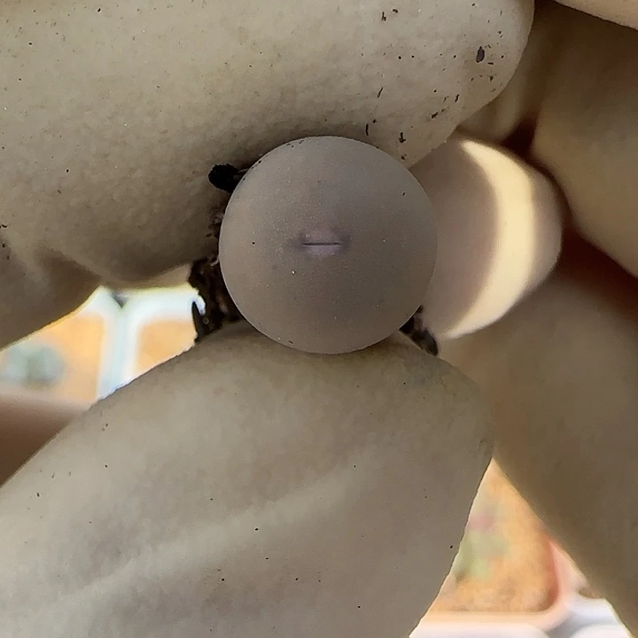 443v嘴福利福利福利1102