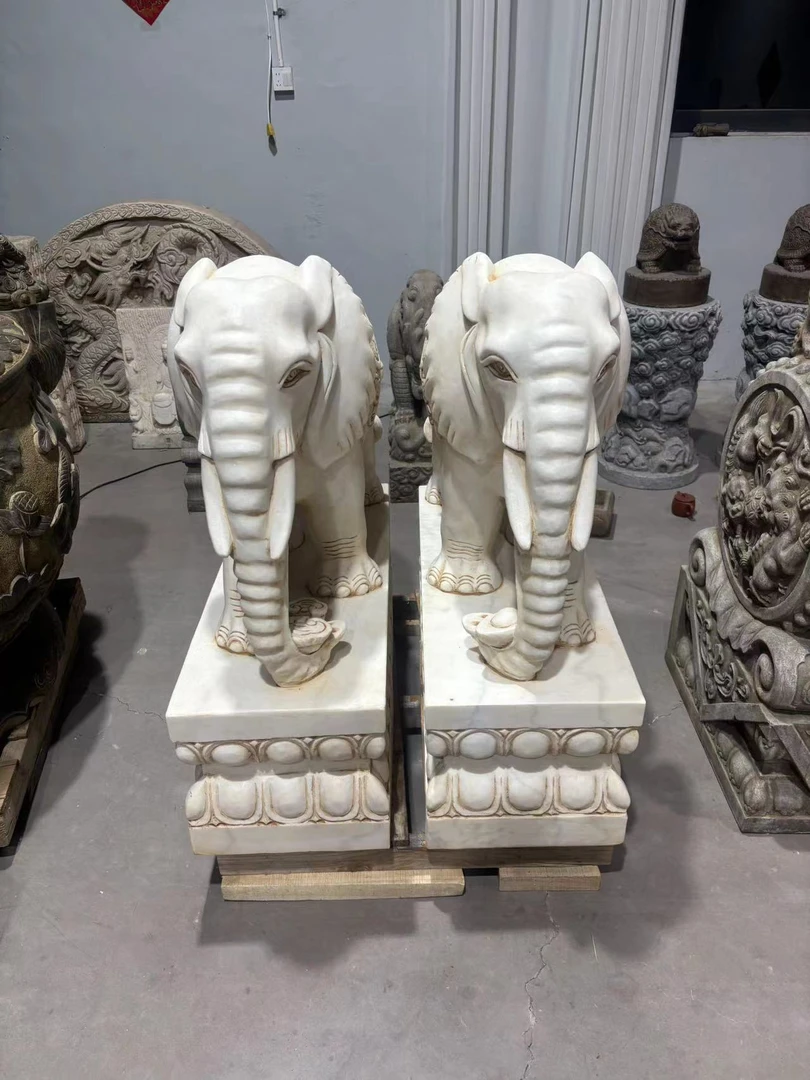 大象  包邮不包卸货