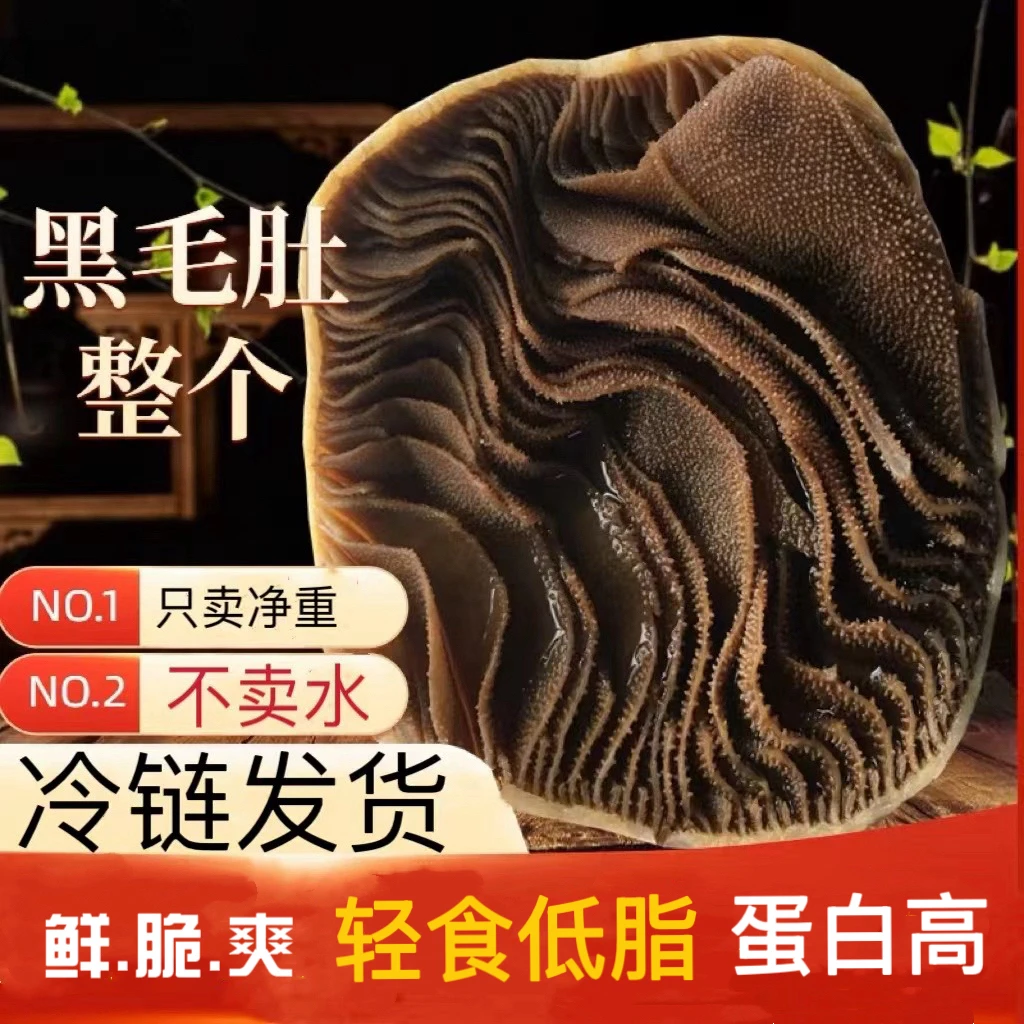 【顺丰】大块黑毛肚净重3斤新鲜大叶牛百叶重庆火锅 固形物含量90%