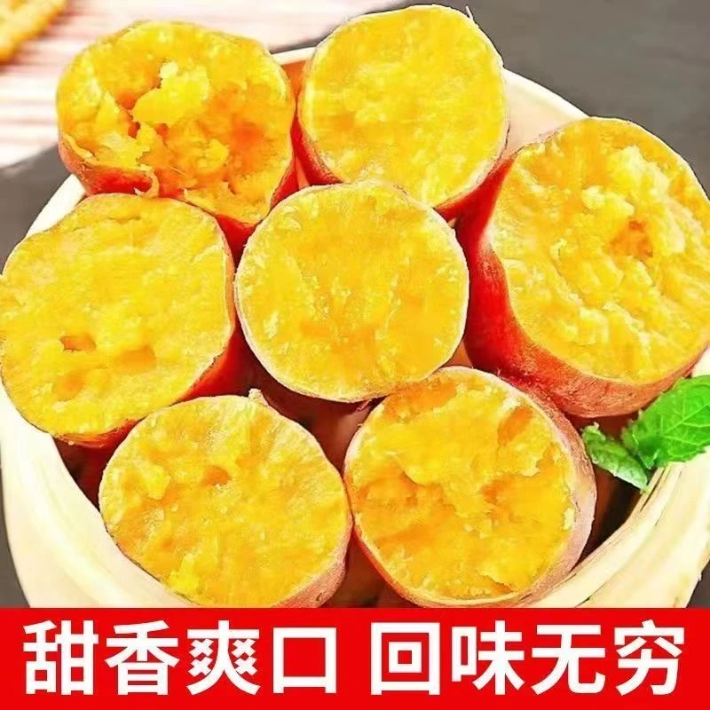 【现挖现发】超甜新鲜蜜薯正宗蜜薯黄心板栗薯番薯蔬菜地瓜