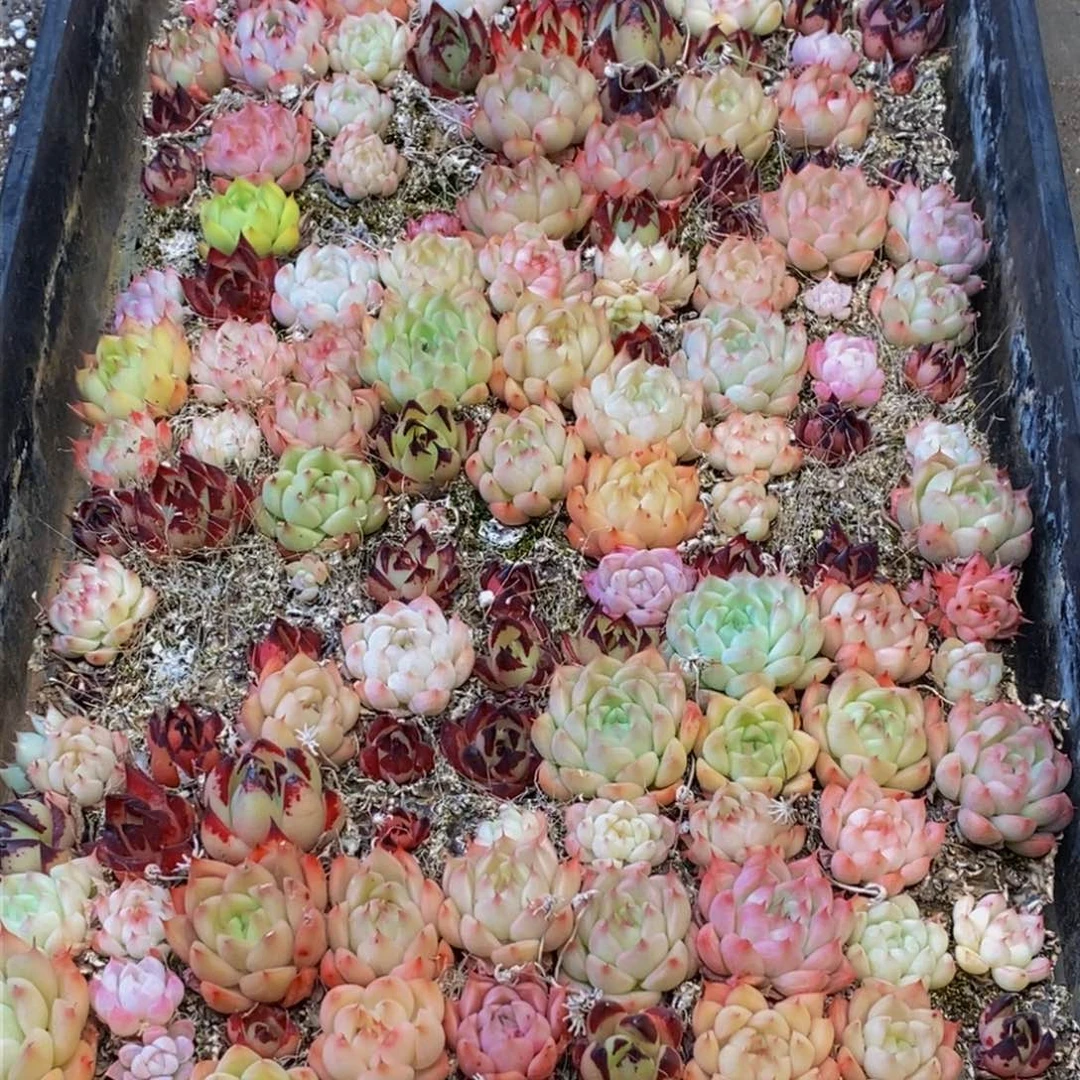 137多人在一起的时候