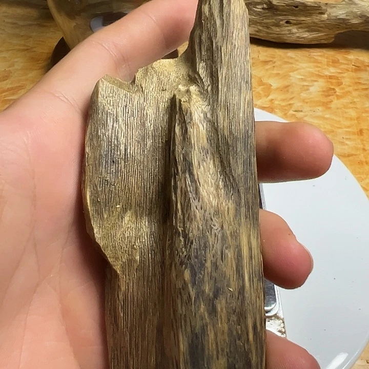 沉香沉香碎屑44克虫漏，龙五品种