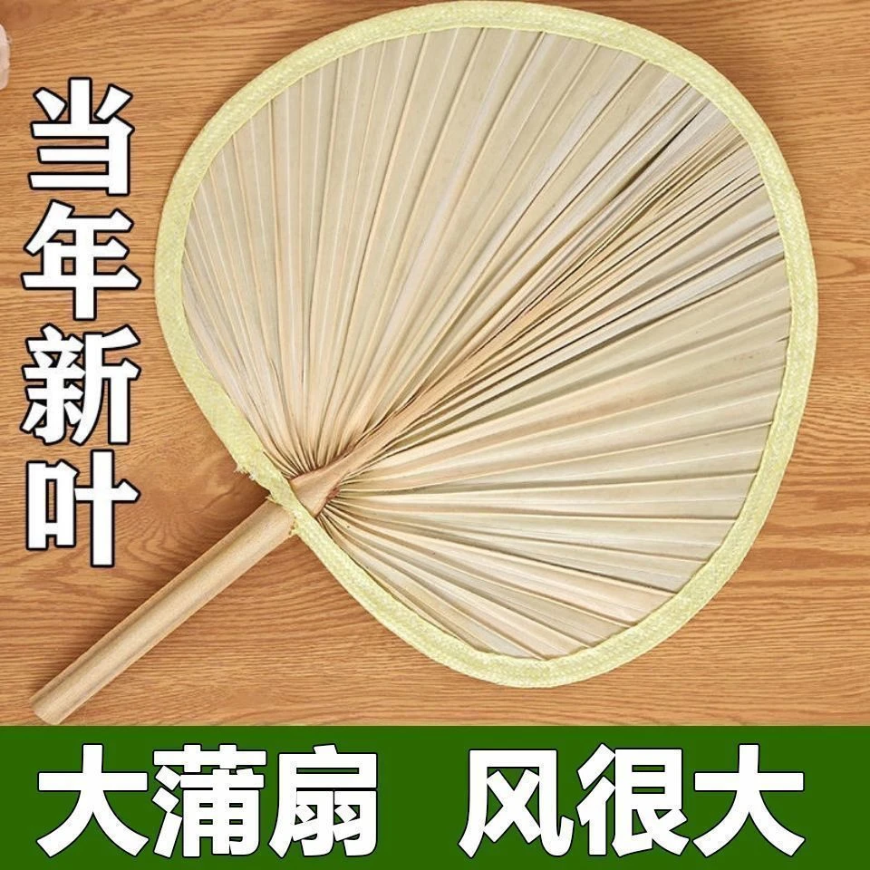 蒲扇子老式大蒲扇芭蕉扇子夏天葵扇凉快耐用芭蕉扇子老式家用