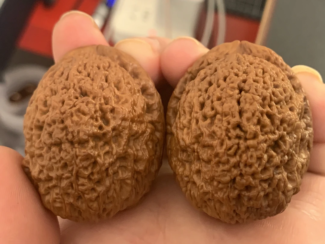 云铁核桃老果罗汉头44尺