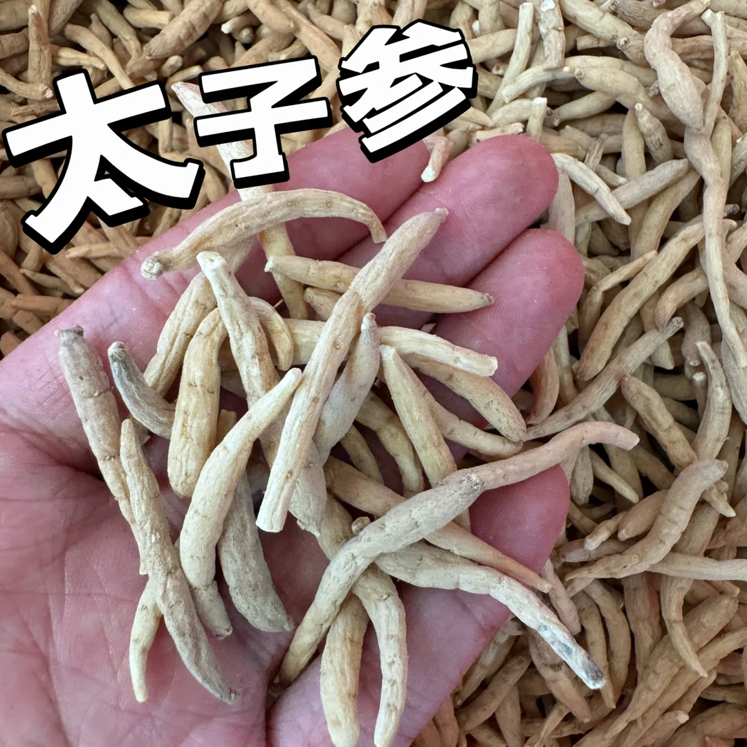 精选高山太子参特大条煲汤好搭档