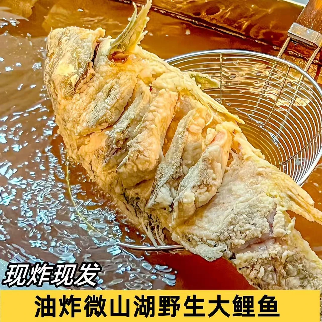 微山湖野生四鼻孔油炸大鲤鱼活鱼现炸现发