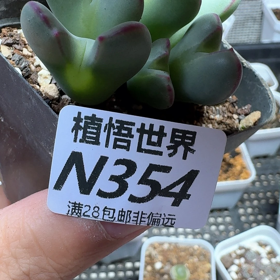 的润泽的润泽付出