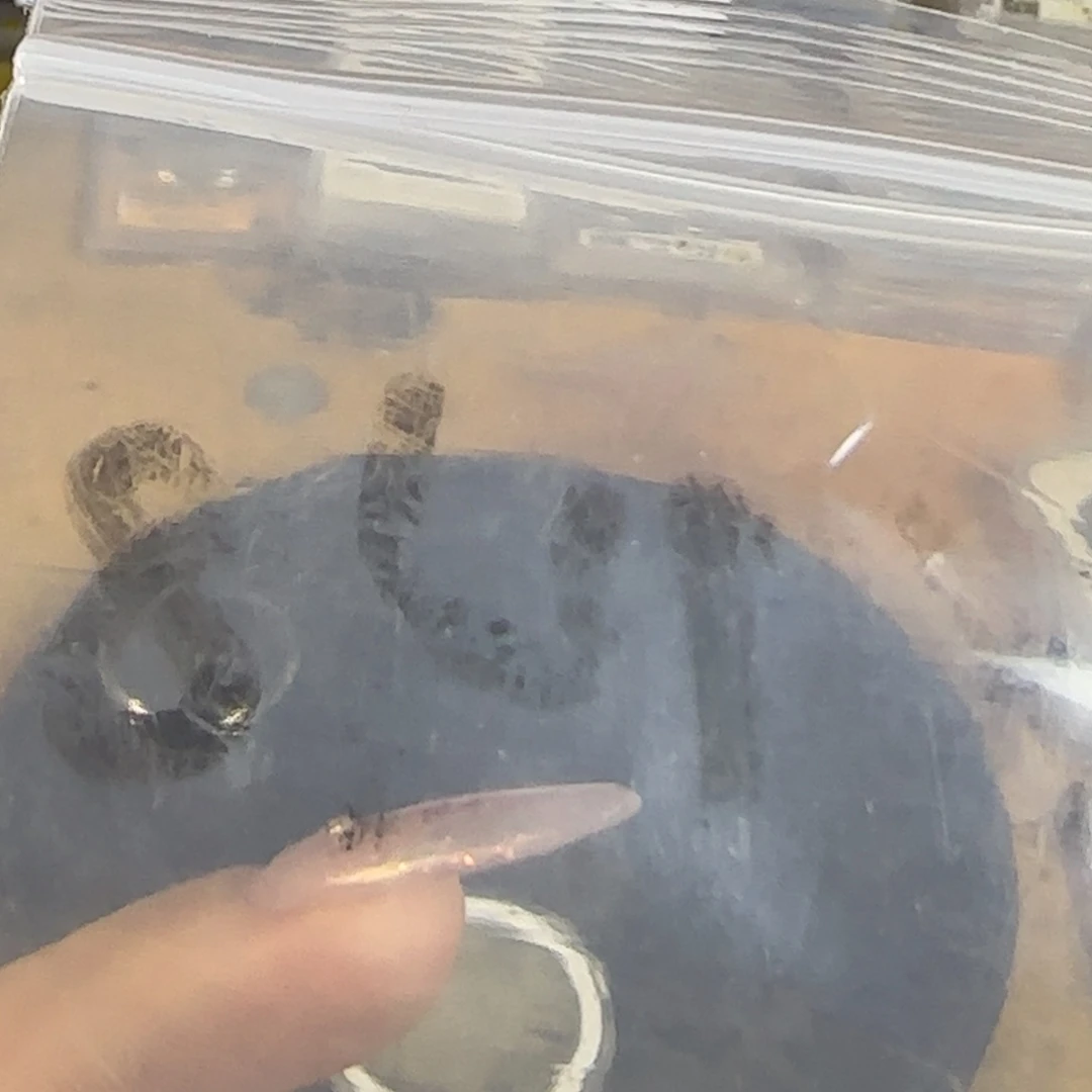 新号开播福利多多