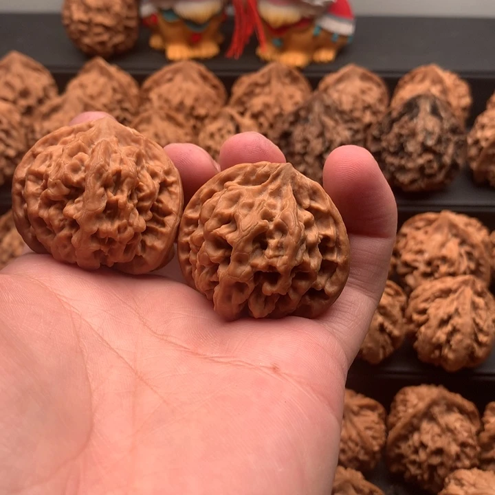 其他核桃鄄****）秦岭山脉和