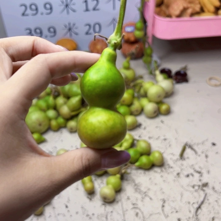 葫芦中国大陆小****中