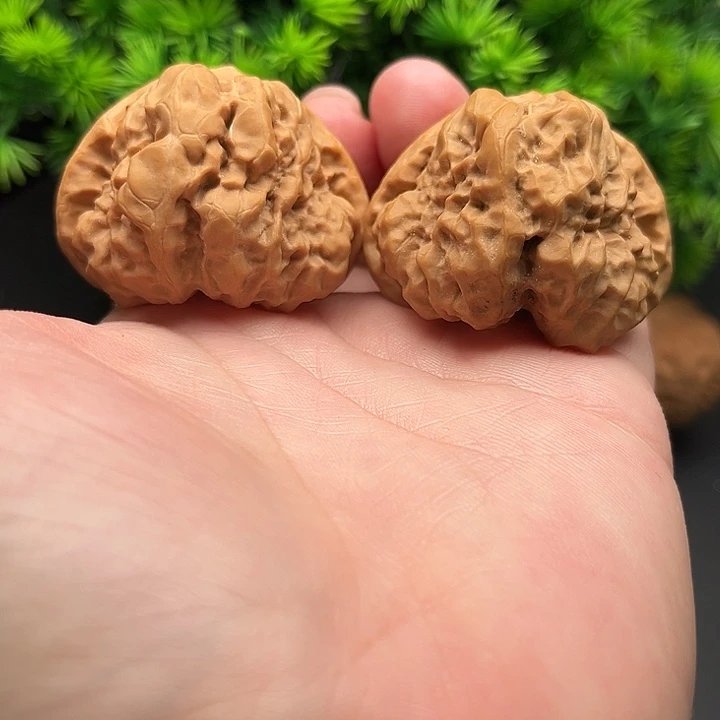 核桃手把件蛤蟆头44