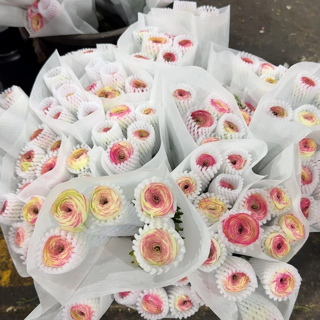 蜜桃西柚洋牡丹1扎