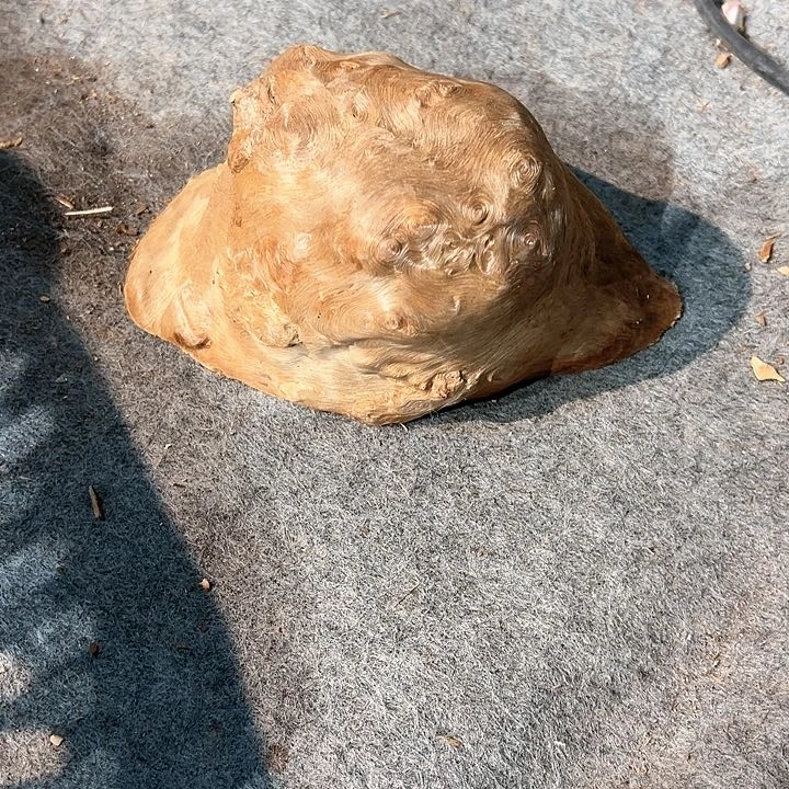 荔枝木古**香荔枝木毛料