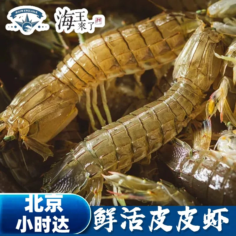 鲜活皮皮虾500g 北京同城闪送 1-2小时到家